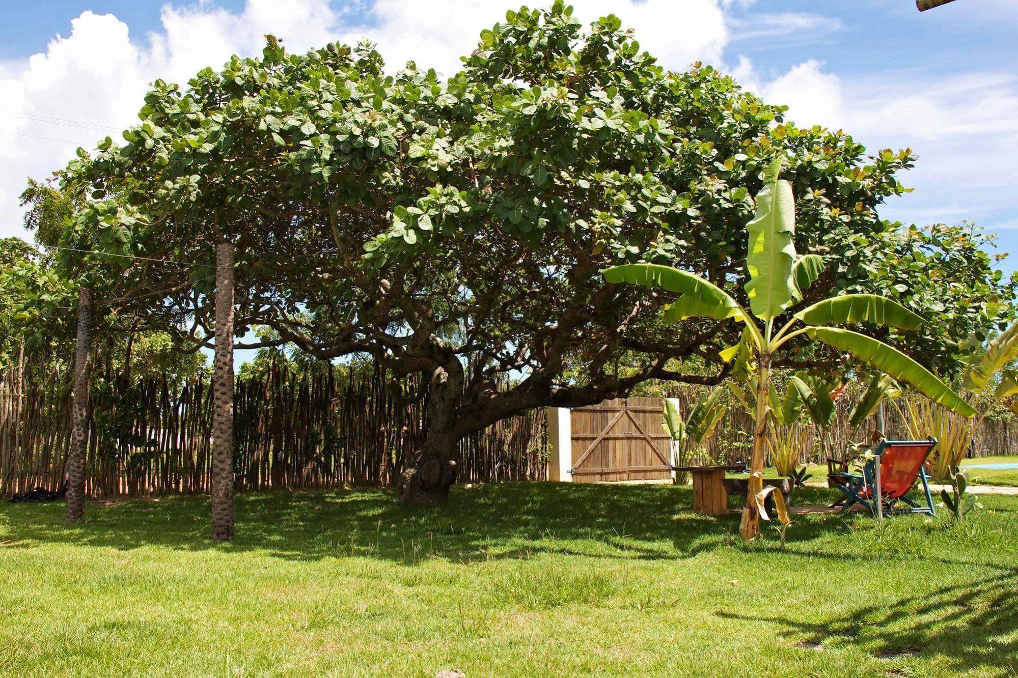Pousada Casa Da Mata Sao Miguel do Gostoso Ngoại thất bức ảnh