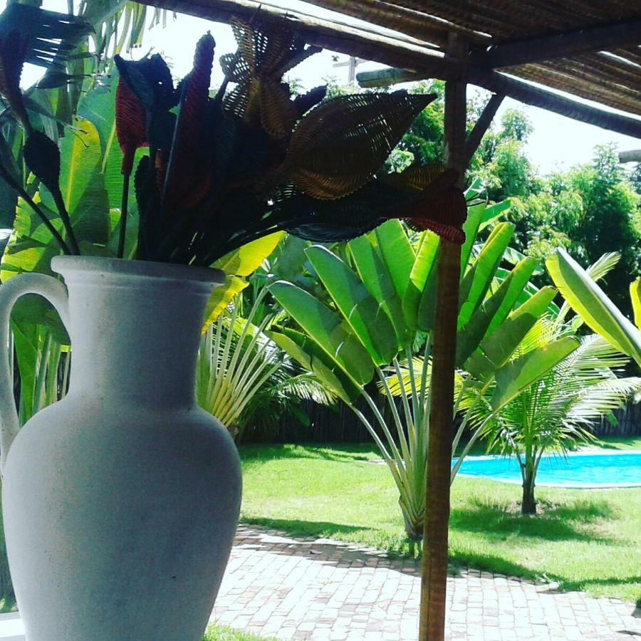 Pousada Casa Da Mata Sao Miguel do Gostoso Ngoại thất bức ảnh