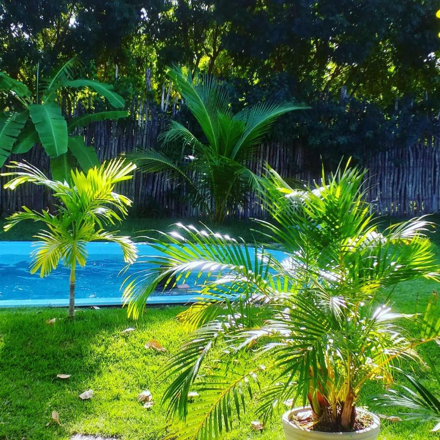 Pousada Casa Da Mata Sao Miguel do Gostoso Ngoại thất bức ảnh